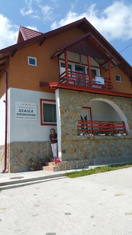 Pensiunea Agroturistica Ioana Bradulet Exteriör bild